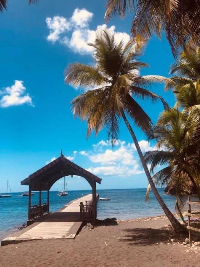 Studio Sainte Anne 2Mn A Pieds De La Plage ,Possibilite Location De Voiture Ngoại thất bức ảnh